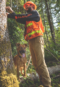 Forestry Careers